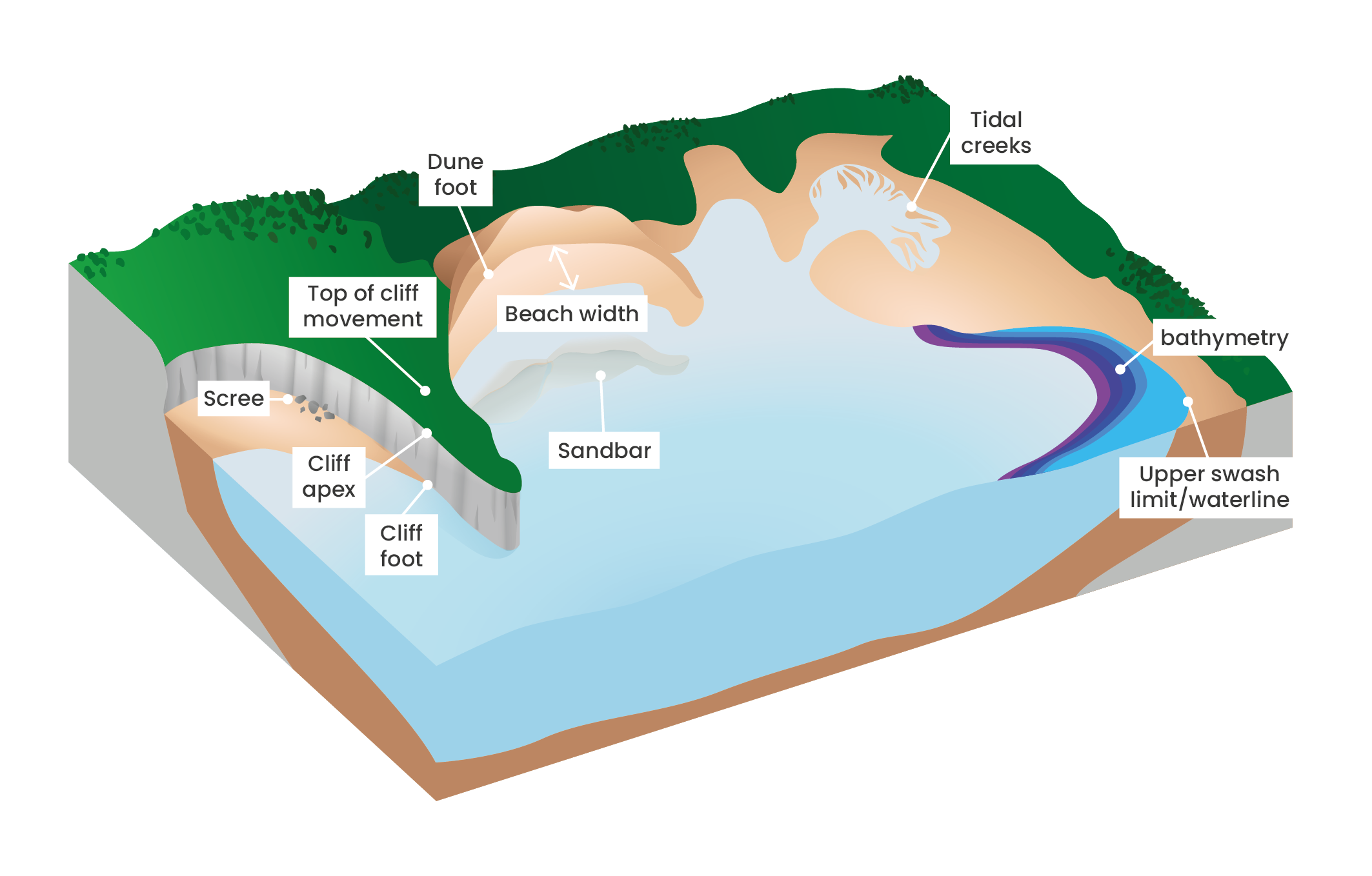 Morphodynamic Indicators Of Erosion Space For Shore